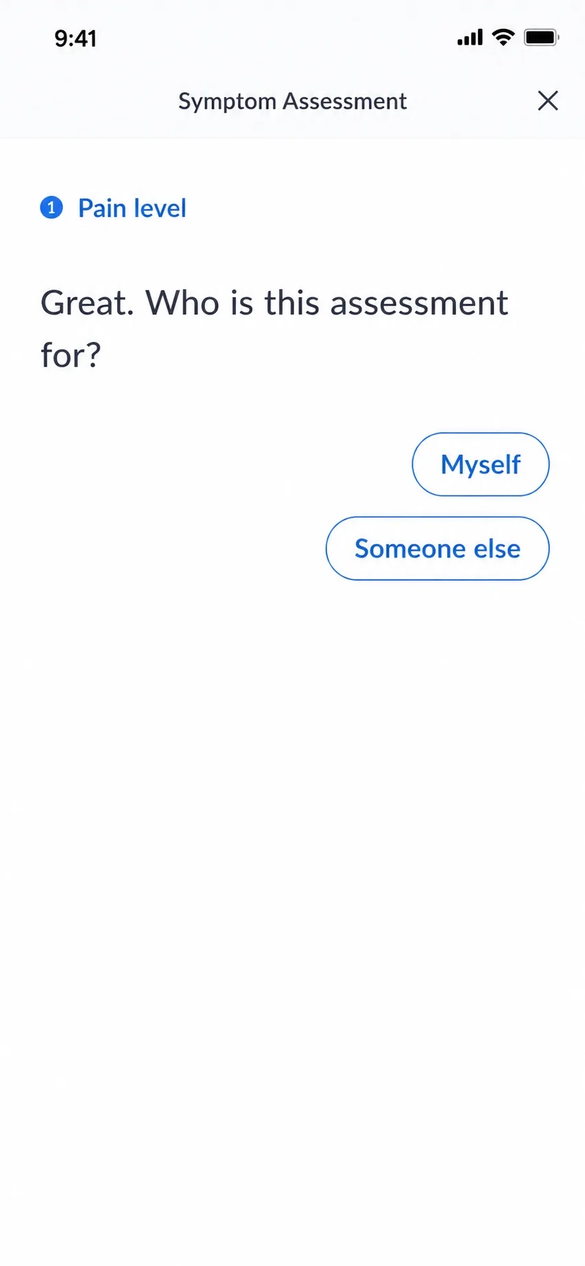 Ada — product interface